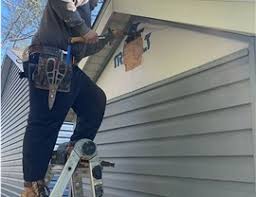 Best Historical Building Siding Restoration  in St Louis Park, MN